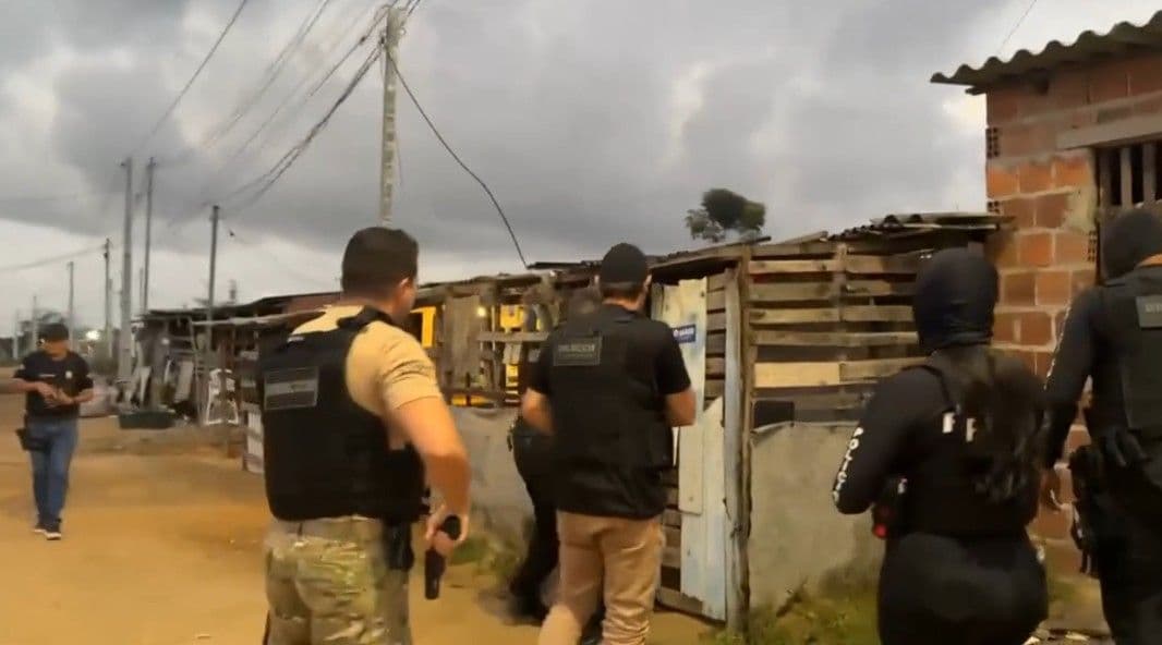 Reprodução
