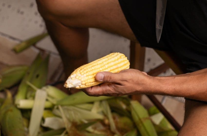 Foto: Victor Vercant/Secom Maceió