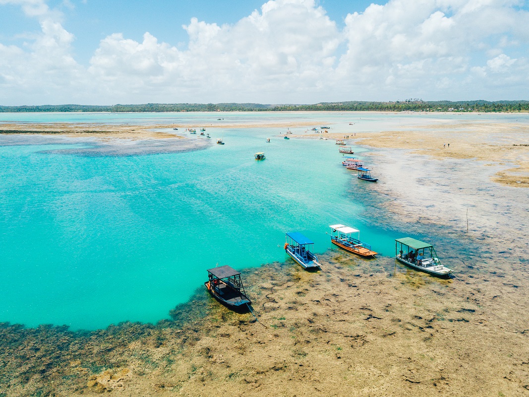 Alagoas Alerta - Federação Paulista divulga tabela da Copinha 2024